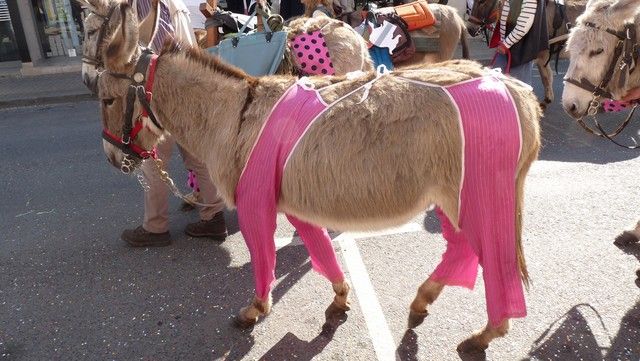 carnaval avril 2014 (37).jpg